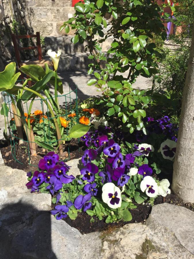 Bed and Breakfast La Cle Des Songes Claviers Экстерьер фото